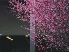 -成都杜甫草堂博物馆