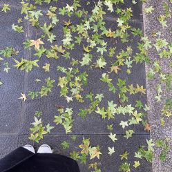 -G-SAGA形象设计