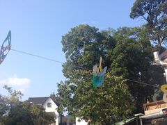 -自在弥林花园餐厅(云栖店)