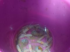 -东戴河风景区-止锚湾