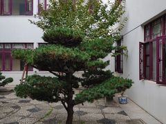 -全季酒店（苏州观前街平江路店）(原临顿路地铁站店)