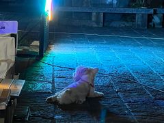 -故事小酒馆