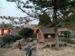 -有喜胶东小馆(超极合生汇太申祥和店)