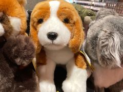 -阅·潮Readzone(珠海华发商都店)