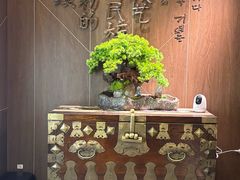 -将军牛排·尔滨地标朝鲜族美食(总店)