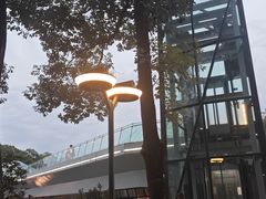 -成都市活水公园