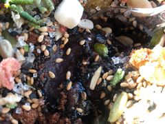 -津门红姐熟梨糕茶汤糕干(爱国道店)