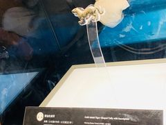 纪念品-陕西历史博物馆