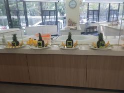 -宝生月子中心·独栋独院式(南山店)