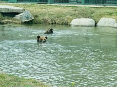 -上海野生动物园