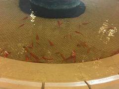 -蓝堡俱乐部