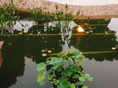 -金陵江南大饭店