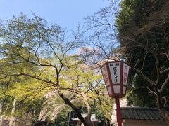 -醍醐寺