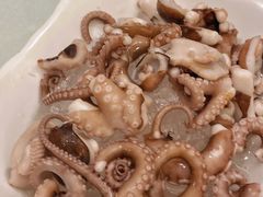 爽口八爪鱼-双井轩(双井店)