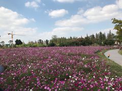 -歌斐颂巧克力小镇