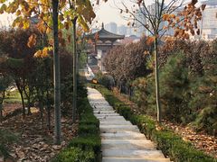 -西安青龙寺遗址景区