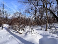 -长白山万达国际滑雪场