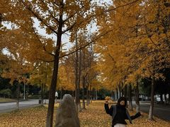 -四川大学(江安校区)