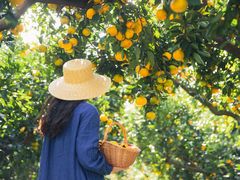 -滨江森林公园-真人CS野战场