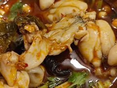 -鸿顺老铁锅美蛙鱼府(解放碑店)