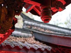 -鱼桥巷·美学川菜