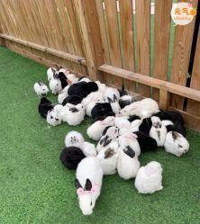 -萌宠亲子动物乐园(槐房万达店)