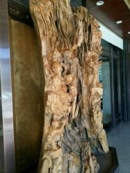 -五洲金行FIDIMO(五洲黄金大厦店)