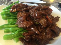 芥蓝蚝油牛肉-故宫晶华