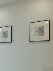 点击看大图 -智美品质医美