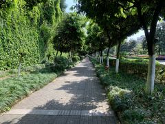 -棕榈泉国际花园1期