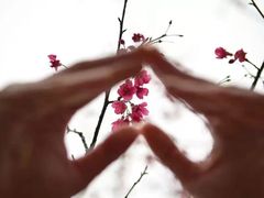 -金鸡山公园