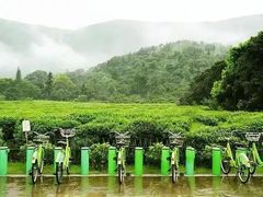 -树山生态村