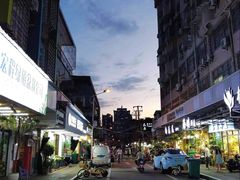 -溪岸路花鸟市场