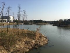 -尚贤河湿地