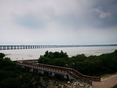 -宝安西湾红树林湿地公园