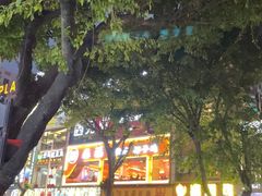 -淼福猪肚鸡·椰子鸡火锅(大沙地店)