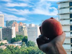 -石家庄万象天成假日酒店