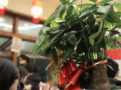 -王大乔泡椒米线(桐梓坡店)