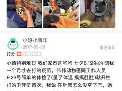 -伟伟宠物医院·CT影像中心·瑞派犬猫综合性门诊(汉口总院)