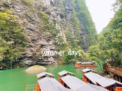 -印象鲵宴·张家界地标美食名片(溪布街店)