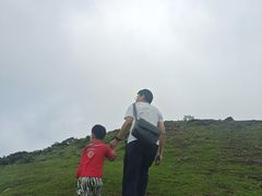 -大姆山草场