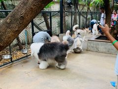 -TrueLove @ Neverland (Husky Cafe)