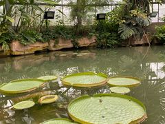 -华南国家植物园-售票处