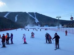 -亚布力新体委滑雪场