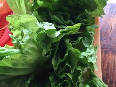 -同顺鹅庄(南华路店)