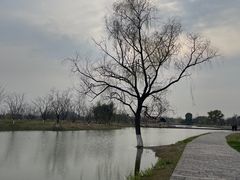 -良渚古城遗址公园