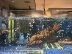 -荣轩(新荣记环球金融中心店)