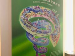 -辽宁古生物博物馆