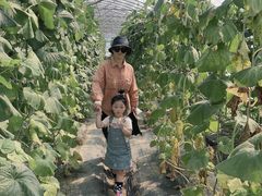 -菊园百果园