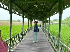 -处女泉风景名胜区